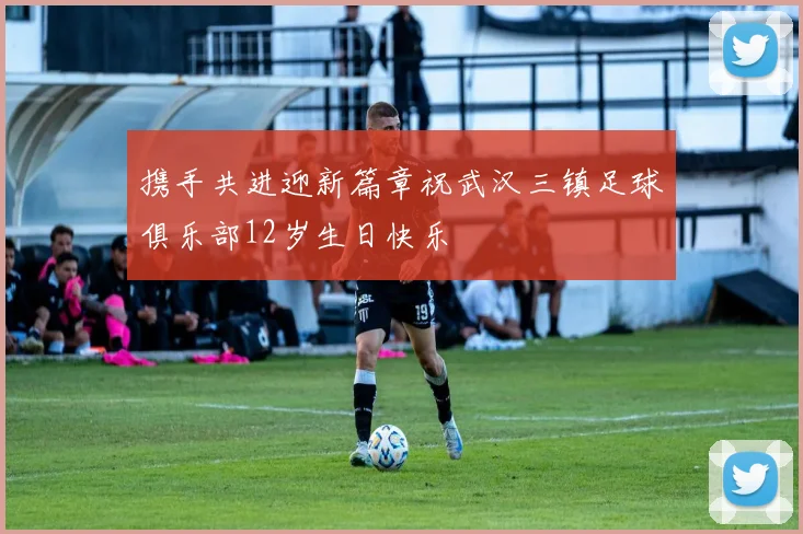 携手共进迎新篇章祝武汉三镇足球俱乐部12岁生日快乐