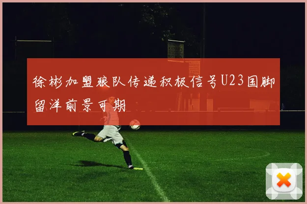 徐彬加盟狼队传递积极信号U23国脚留洋前景可期